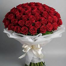 Букет 101 Красная роза Блэк Мэджик в Турки