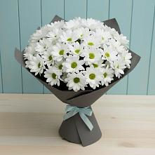 Букет цветов из:  Хризантемы #REPLACE_PRED# Турки
