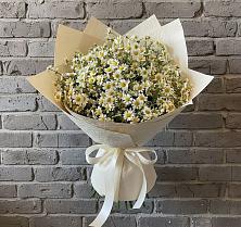 Букет цветов из:  Ромашки #REPLACE_PRED# Турки