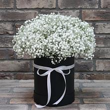 Цветочная композиция из Гипсофила в шляпной коробке в Турки
