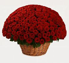 Премиум букет из: Розы в Турки