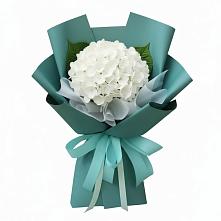 Букет цветов из:  Гортензия в Турки